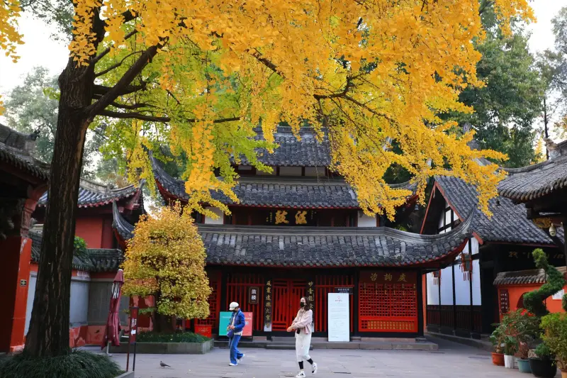 唐山零售门店收银秤与条码打印机选配方案