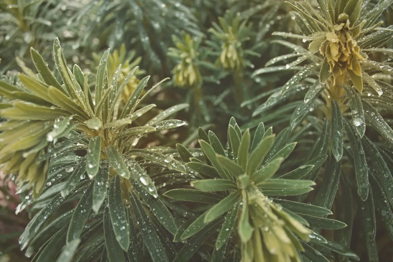 票据打印机与验钞机在餐饮收银场景中的协同应用解析