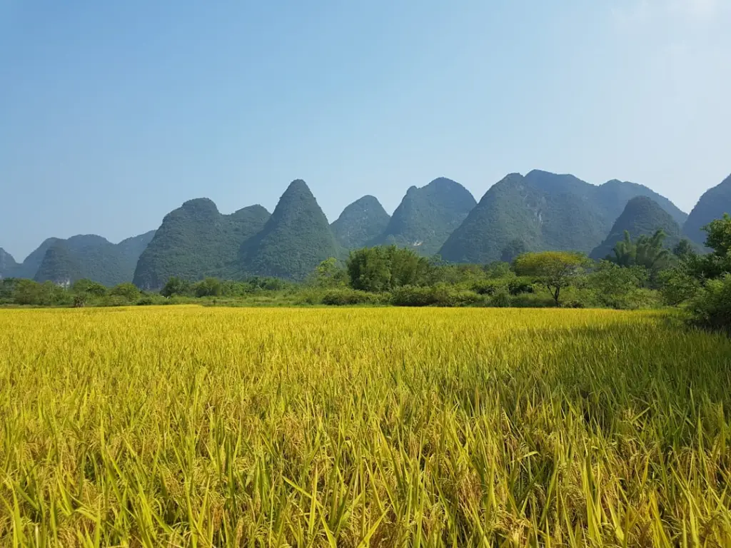 唐山零售商户收银设备升级：收银秤与扫描盒子集成方案探讨
