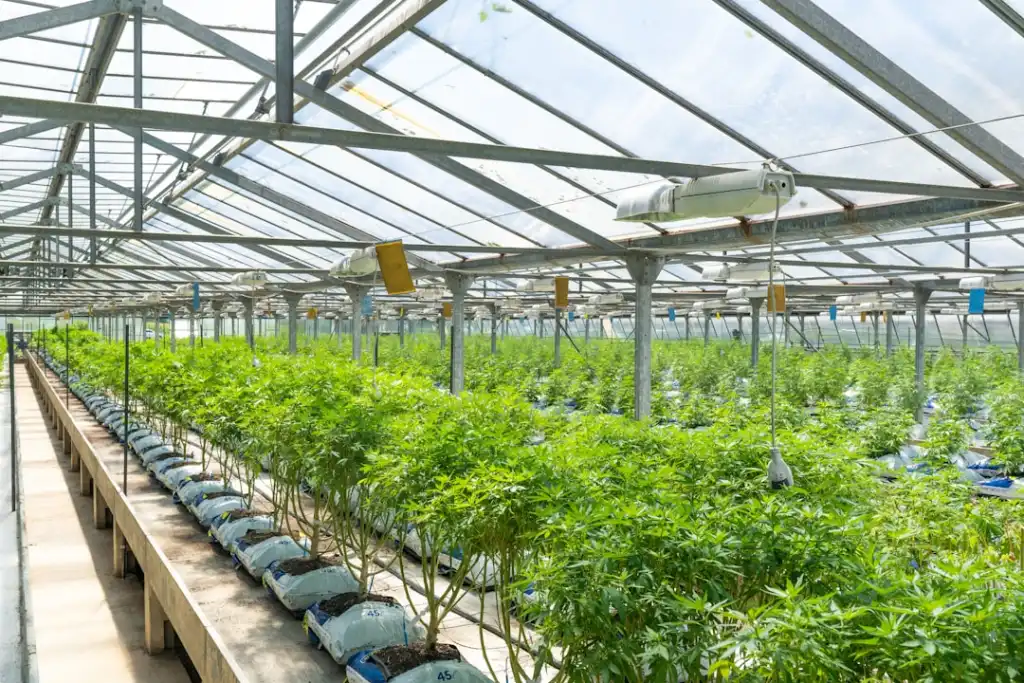 唐山零售门店收银秤与票据打印机选型方案解析