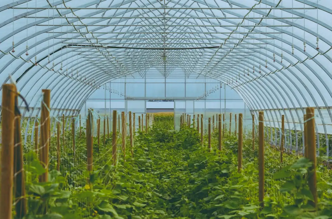 华北餐饮门店票据打印机日常维护与耗材选用指南