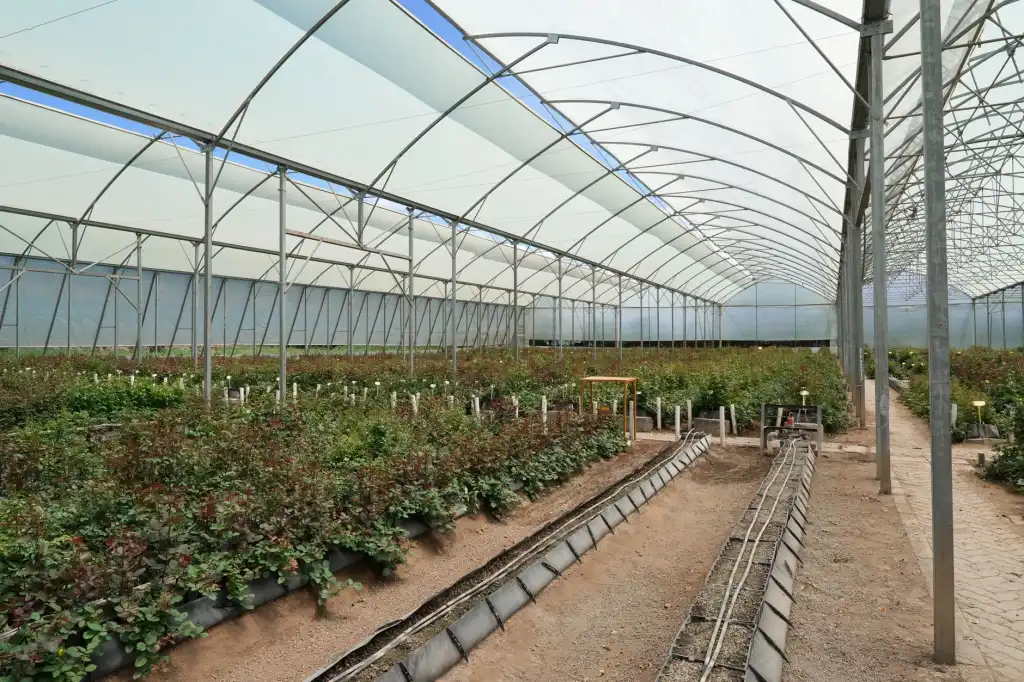 掌客源科技收银秤与条码打印机在零售门店的协同应用方案